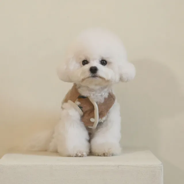 Warm Lamb Woolen Flower Vest Jacket Dog Sweater Warm Pet Clothes Sleeveless - Shop at LoveMi