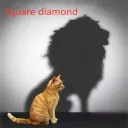 Square Diamond 40X50