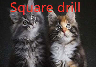 Square drill