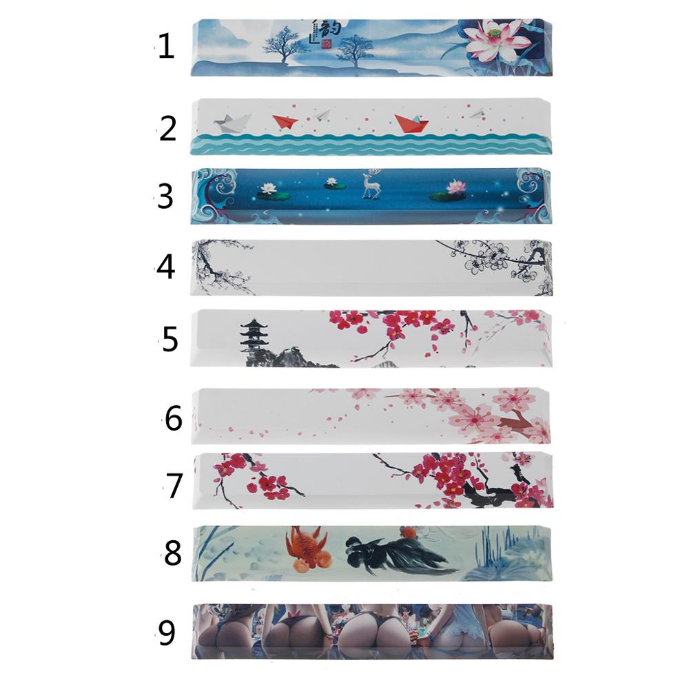 Space Bar Cap Mechanical Keyboard With Original Cherries