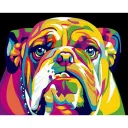 Big Dog