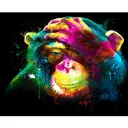 Chimpanzeea