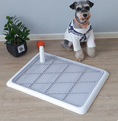 Indoor Pet Relief System