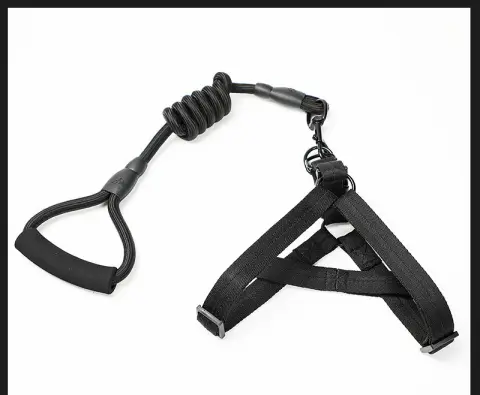 Dog Leash Teddy Dog Cat Chest Strap Pet Products