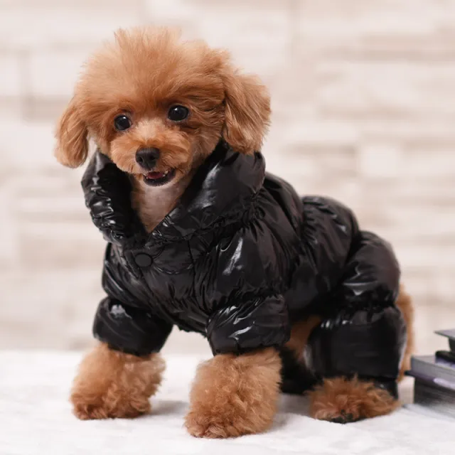 Thicken Solid Color Warm Dog Clothes For Pets Black - Shop at LoveMi