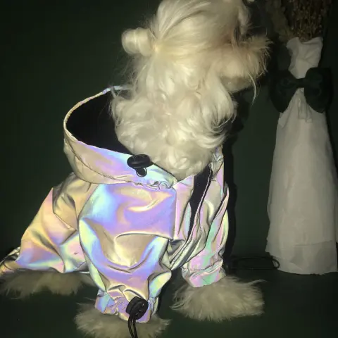 Fashion Dog Clothes Pet Dogs Hoodie for Dog Coat
