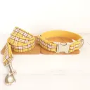 Chain Ring C
