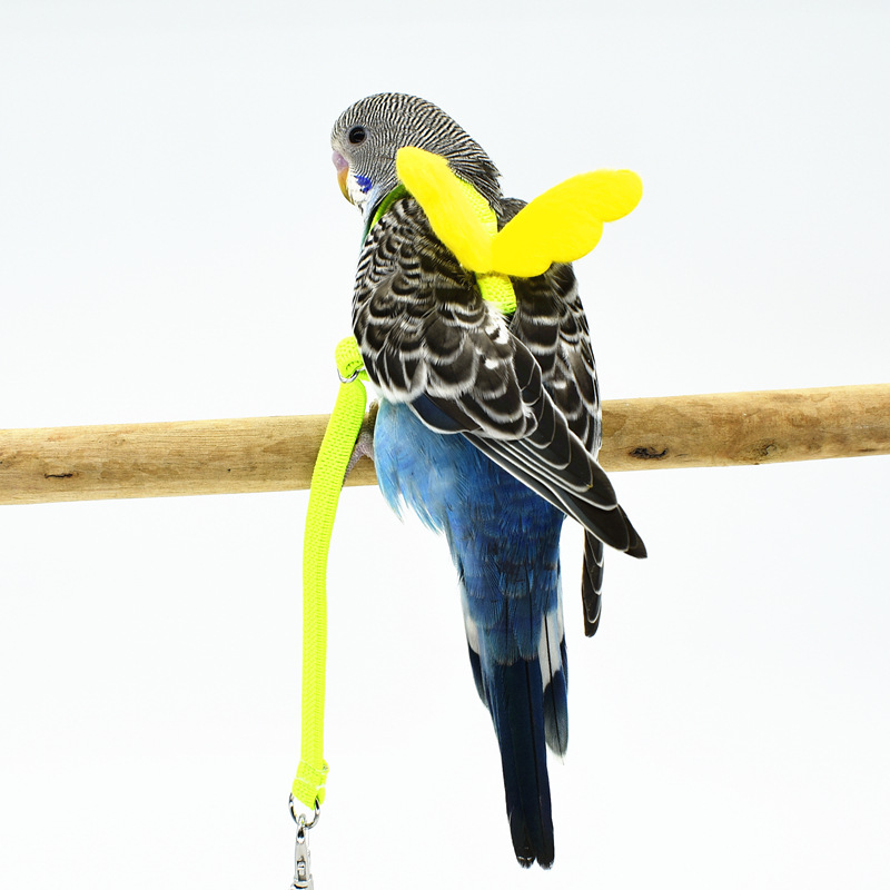 Parrot fly line harness fly line tow line (yellow)