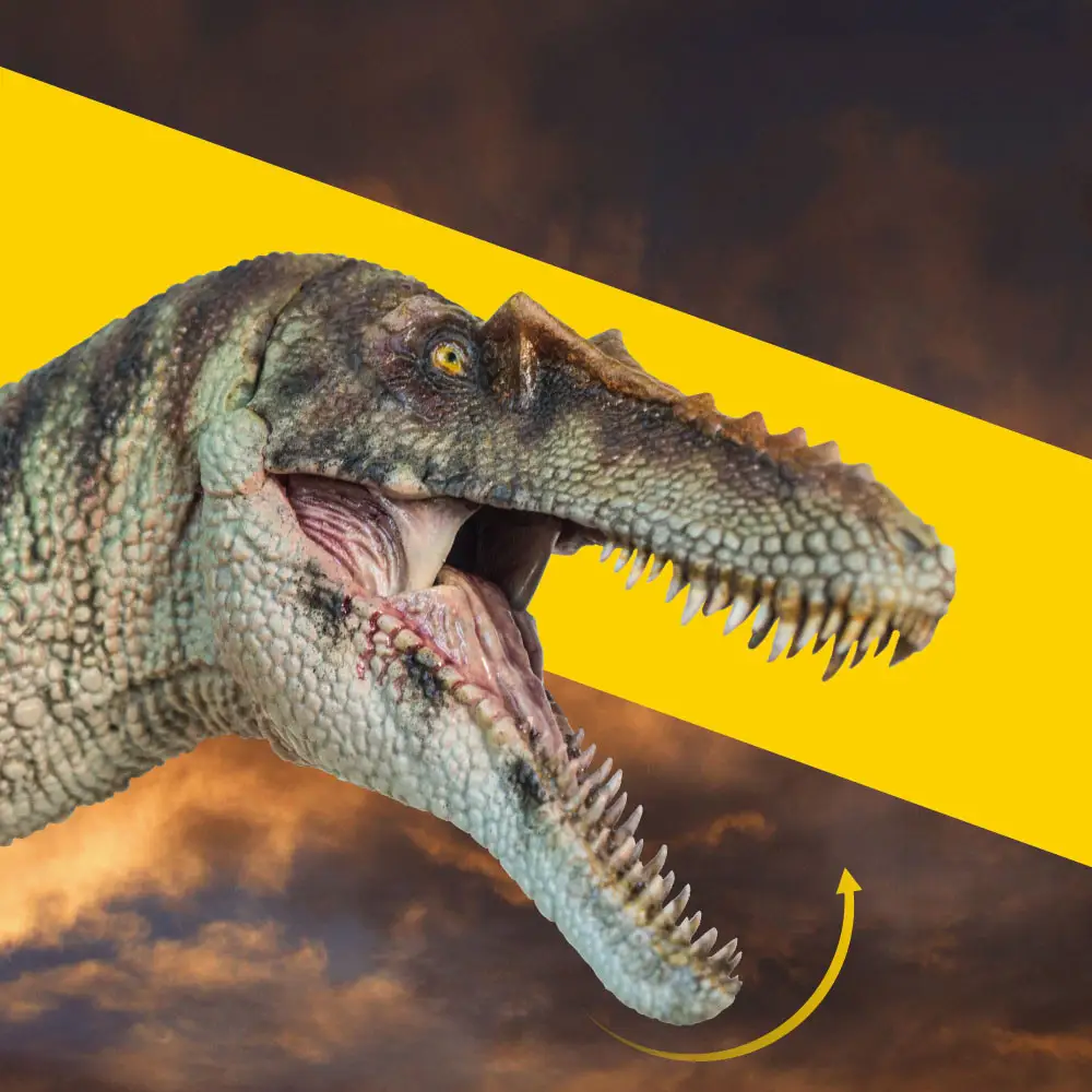 Dinosaur King Qianzhou Dragon Ashu Jurassic Simulation Of Prehistoric Animals