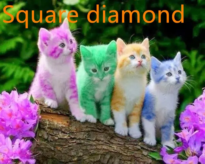 Four Colorful Kittens 5D Diy Diamond Painting, Decorative Painting - Square