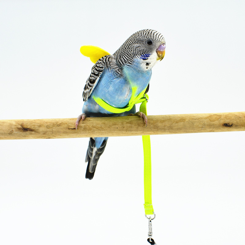 Parrot fly line harness fly line tow line (yellow)