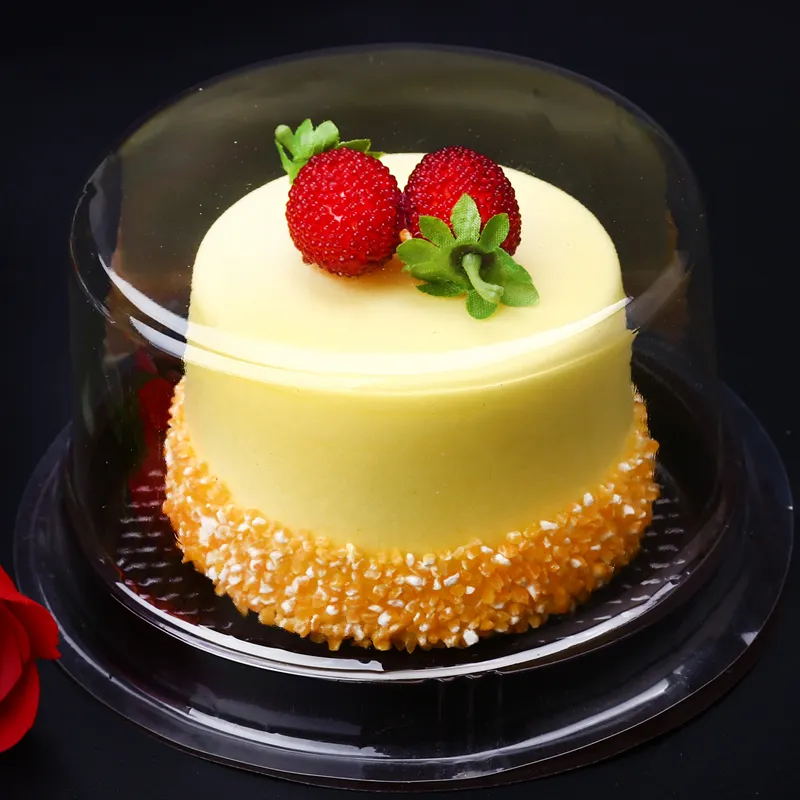 Cake Packaging Box Transparent Round Blister