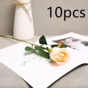 Champagne10Pcs