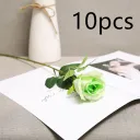 Green10Pcs