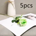 Green5Pcs