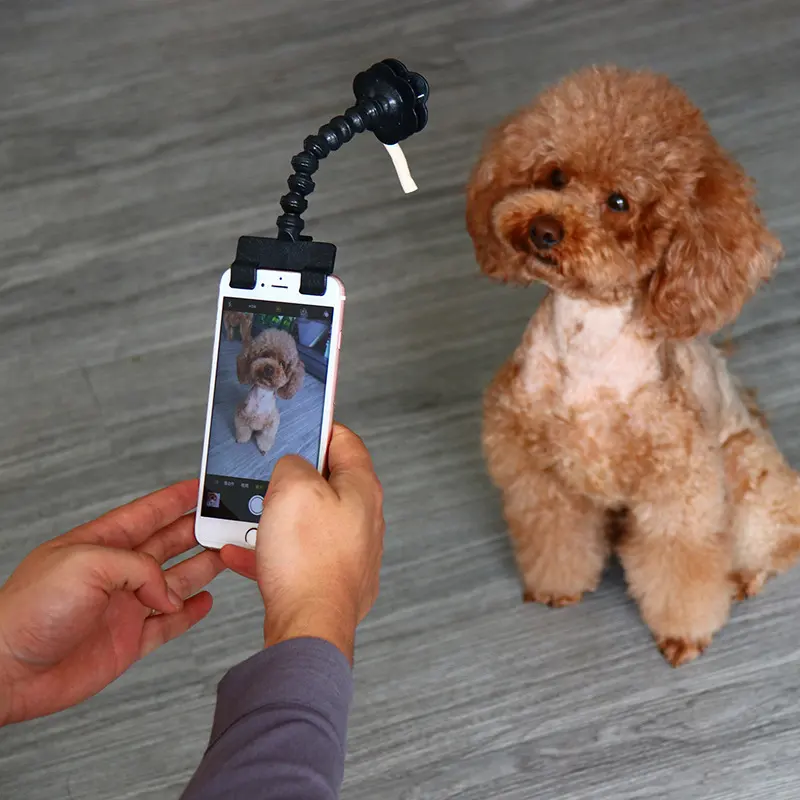 Pet Selfie Stick Pet Supplies Toys Pet Artifact