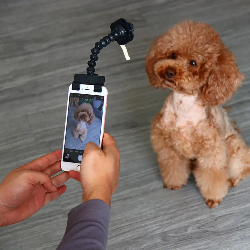 Pet Selfie Stick Supplies Toys Artifact