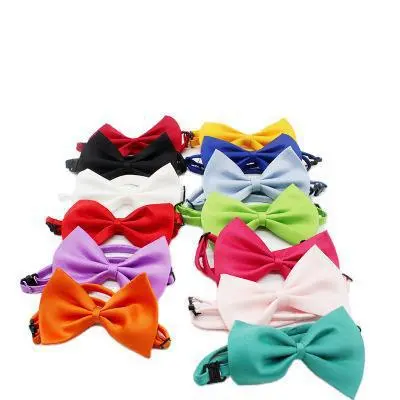 Dog Butterfly Bow Tie Leads Flowers, Cat And Dog Photo Supplies Random Delivery - Shop at LoveMi