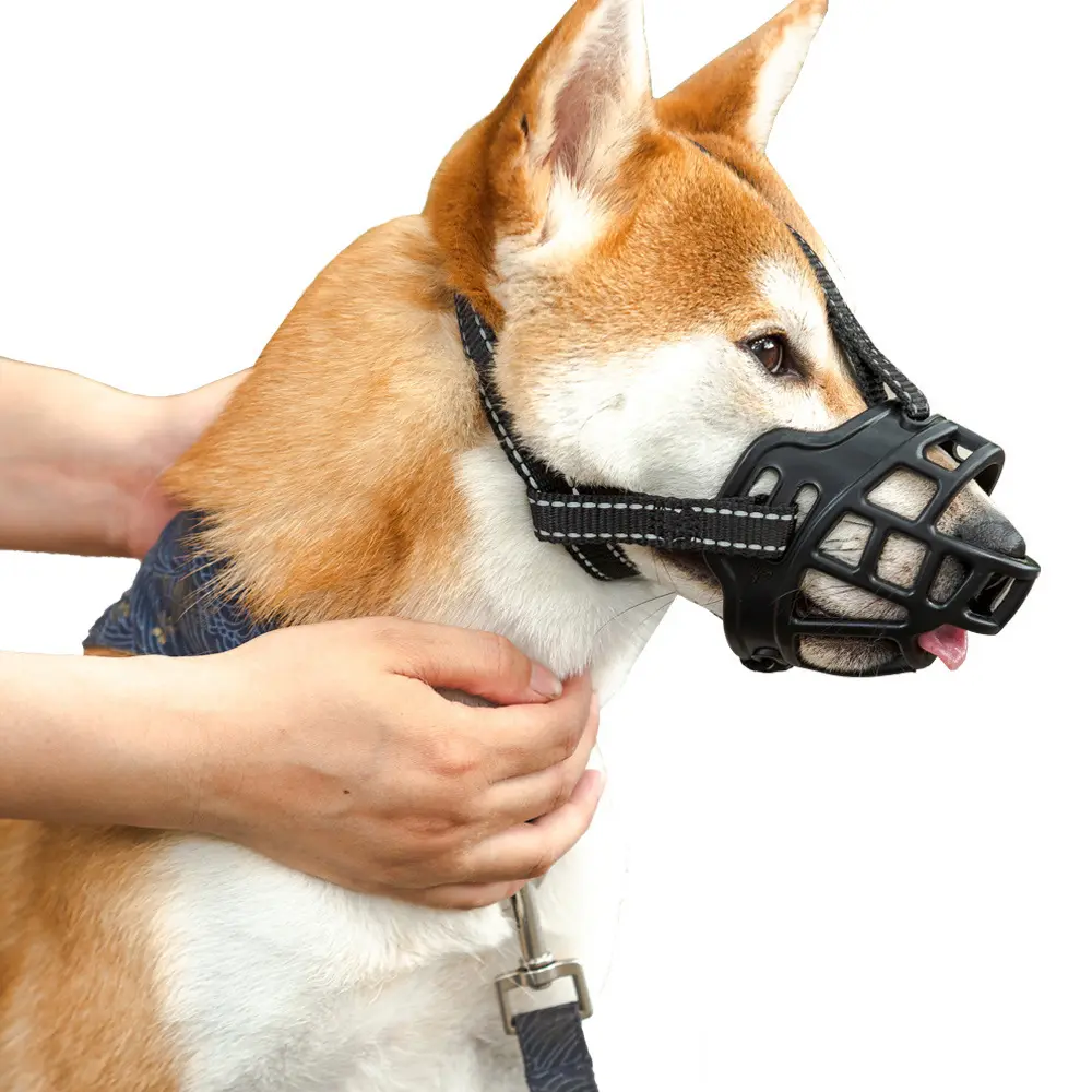 Dog Muzzle Prevents Random Eating, Bite