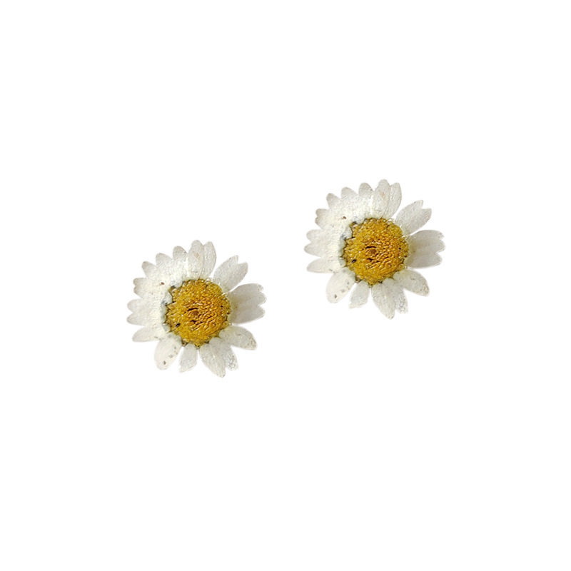 Epoxy Daisy Real Flower Dried Flower Earrings