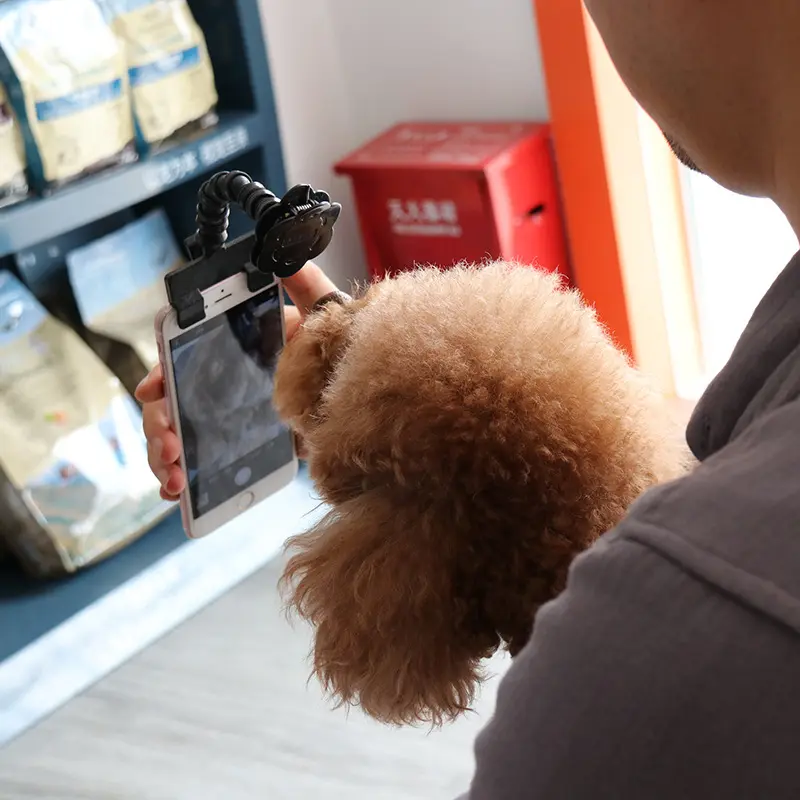 Pet Selfie Stick Supplies Toys Artifact