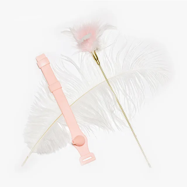 Fun Bite Resistant Collar Cat Feather Toy Metal - Shop at LoveMi