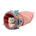 Red Carrot