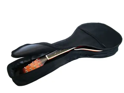 Mandolin Single Bag Bag Type a Bag