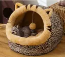 Brown Leopard