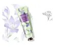 Freesia