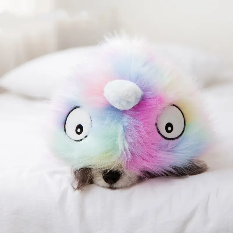 Rainbow Little Pet Jacket