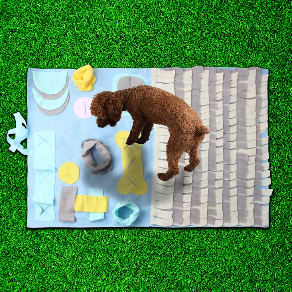 Sniff training mat