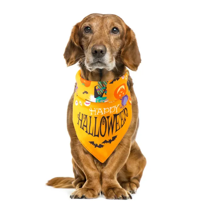 Halloween pet saliva towel Halloween - Shop at LoveMi