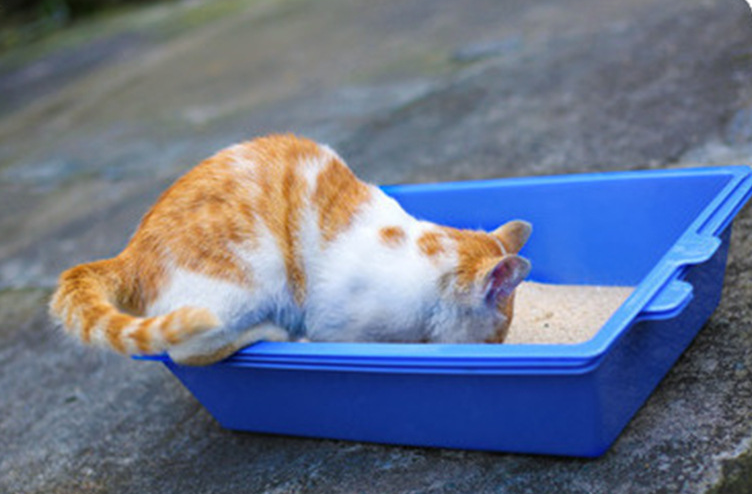 трехлитровые ящики