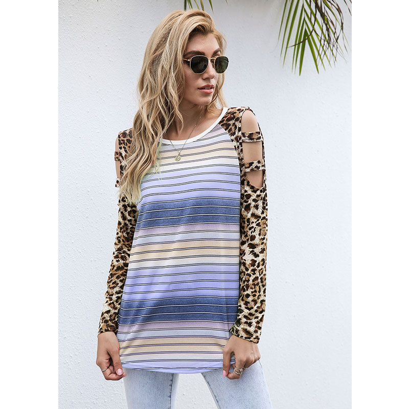 Leopard Gradient Stripe Hollow Top