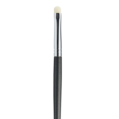 Lip brush