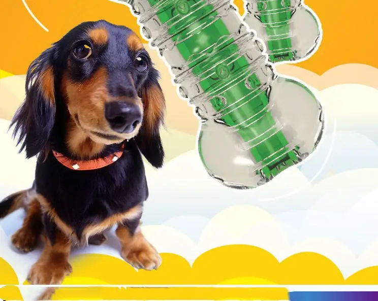 Crunchy Bone Toy
