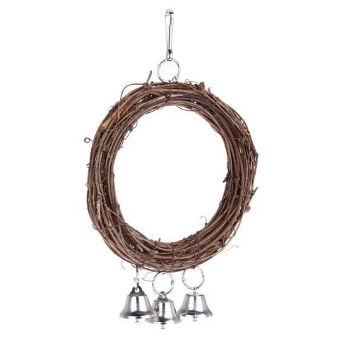 Parrot Swing