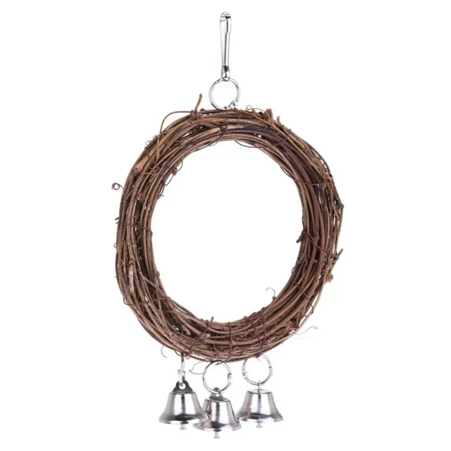 Parrot swing As Shown - Shop at LoveMi