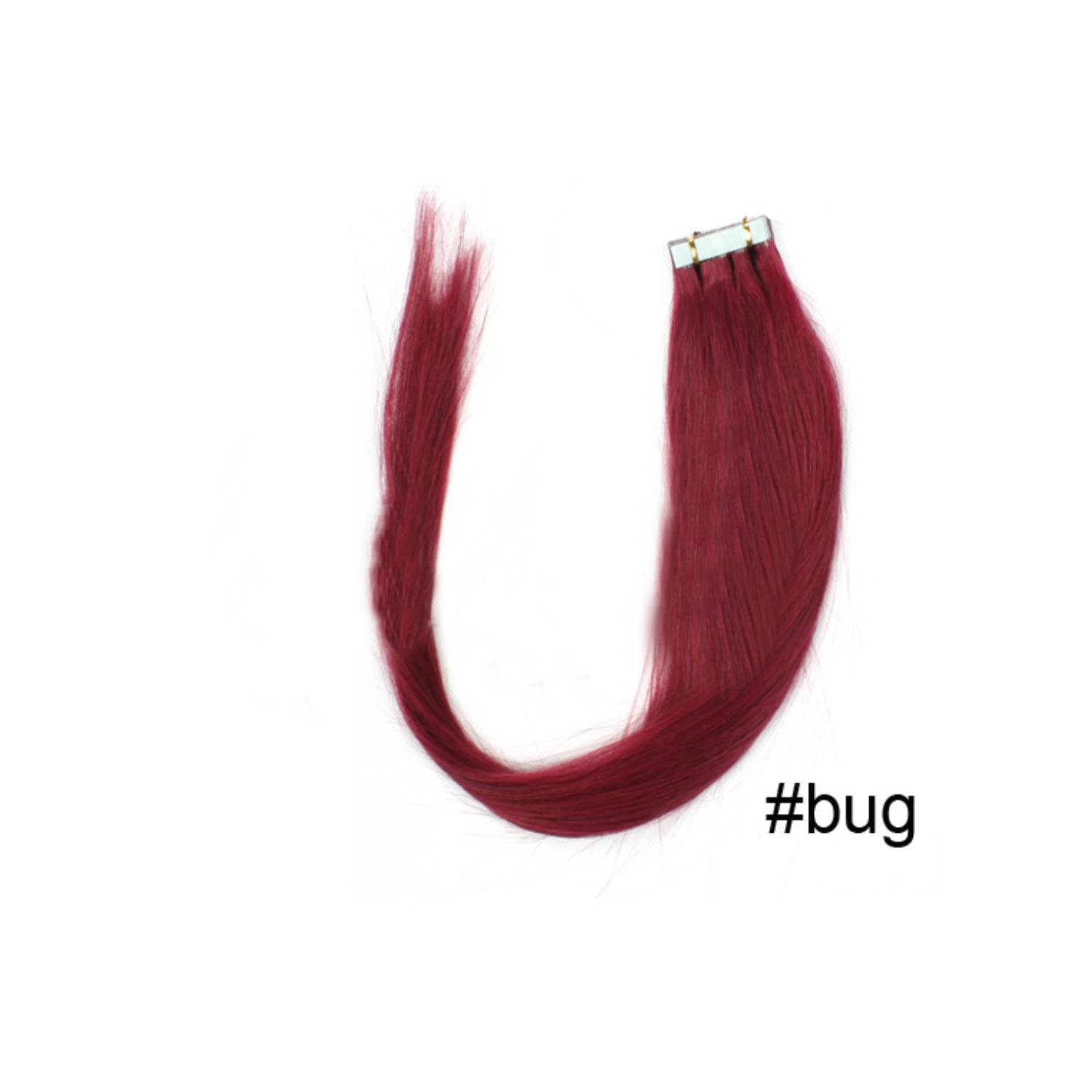 Bug