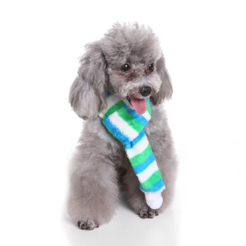 Pet Dog Bib
