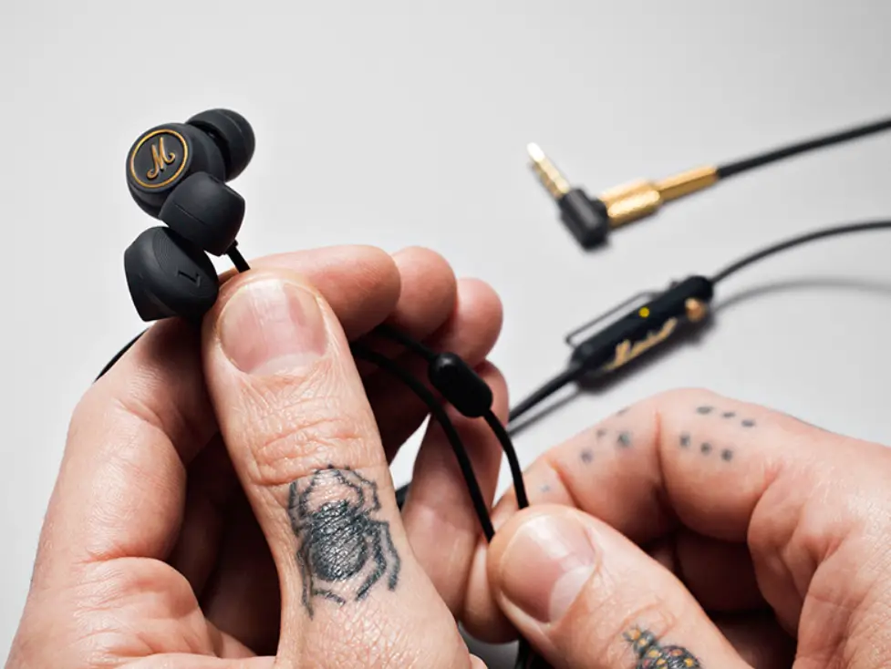 Rock earplugs