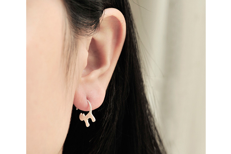 Brushed craft earrings