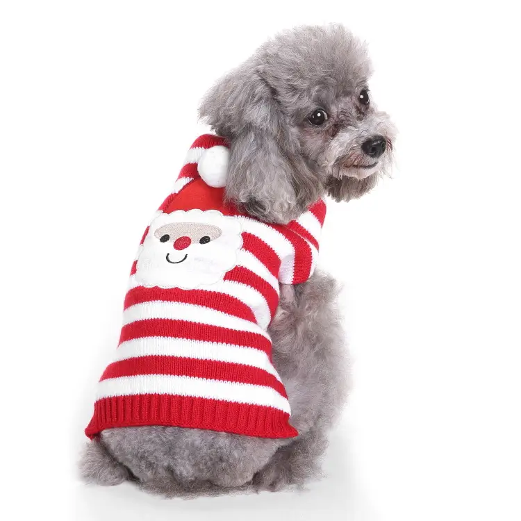Autumn and winter pet sweater