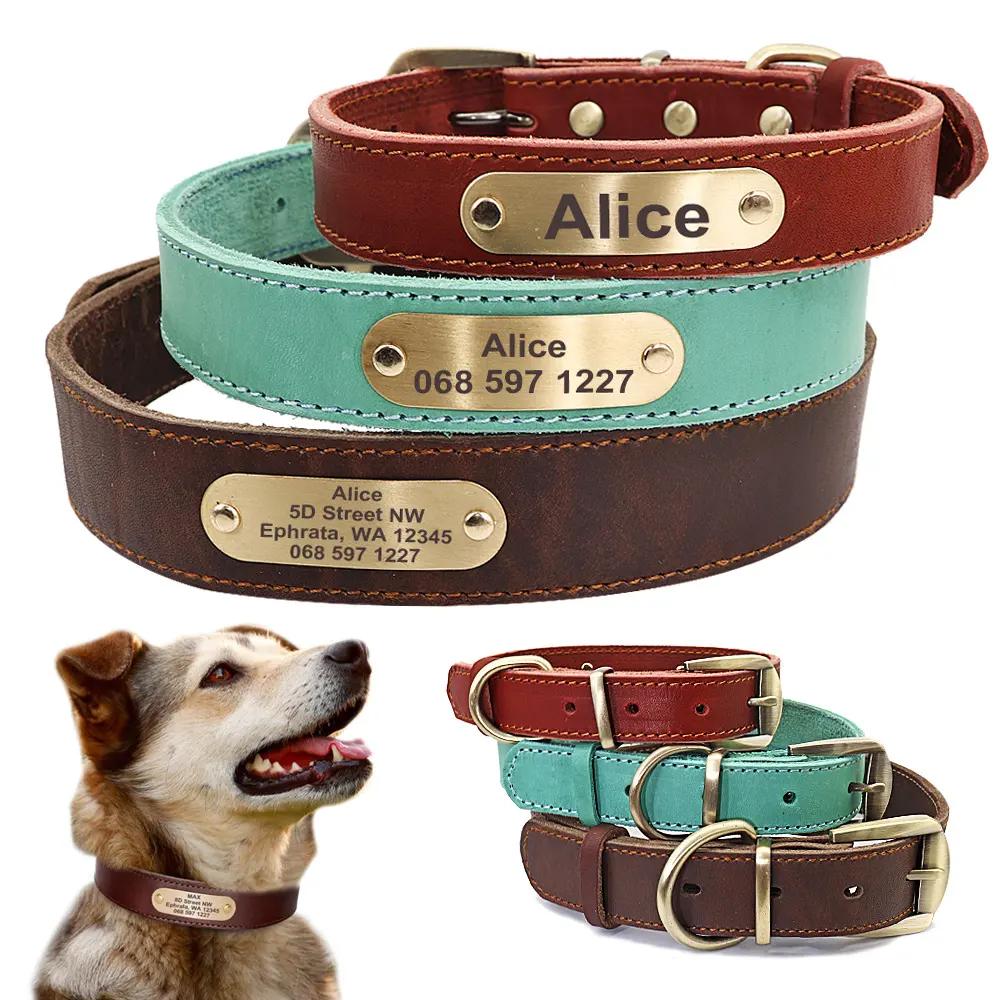 Personalized Dog Collars with Nameplate ID Tags for Medium