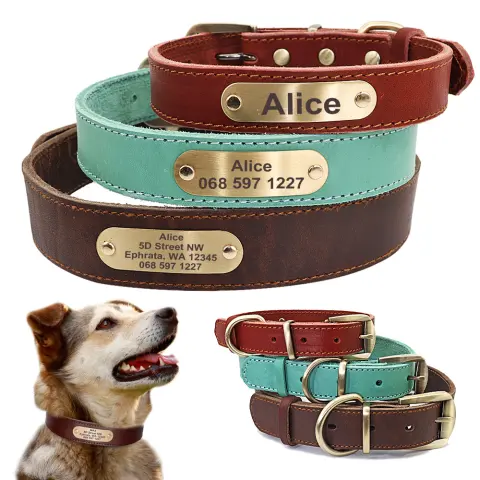Personalized Dog Collars with Nameplate ID Tags for Medium
