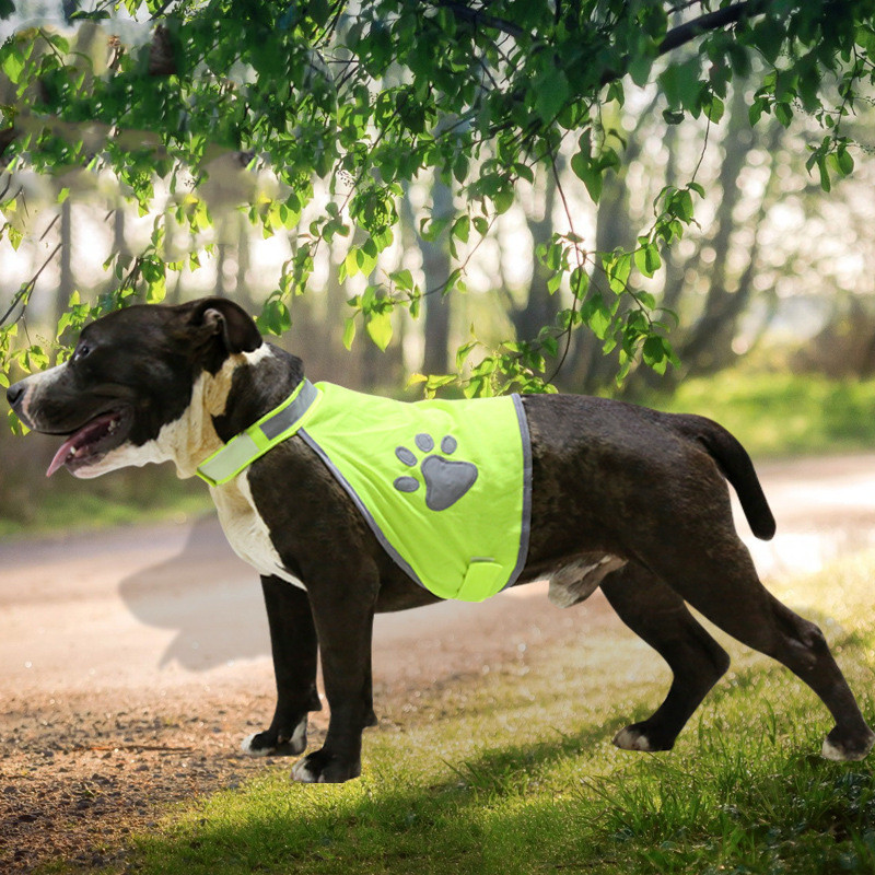 Pet vest fluorescent green reflective