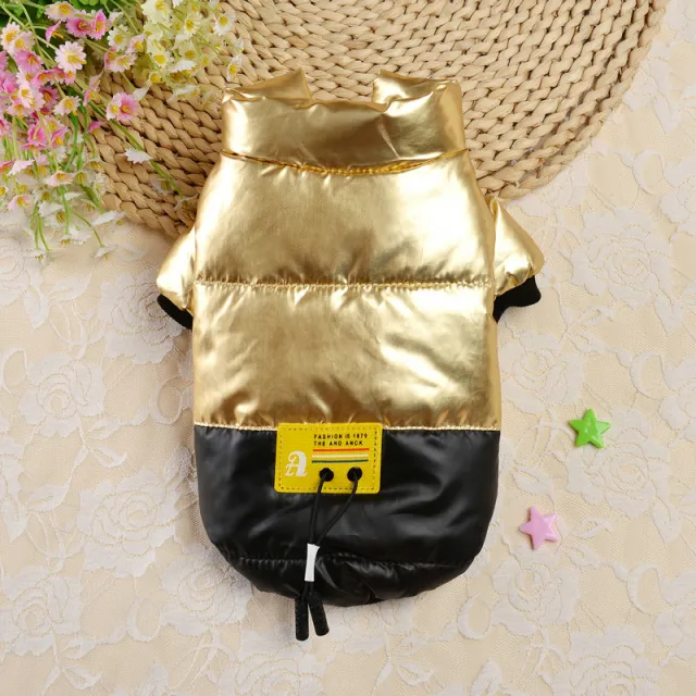 Bright leather coat warm dog clothing Gold - Shop at LoveMi