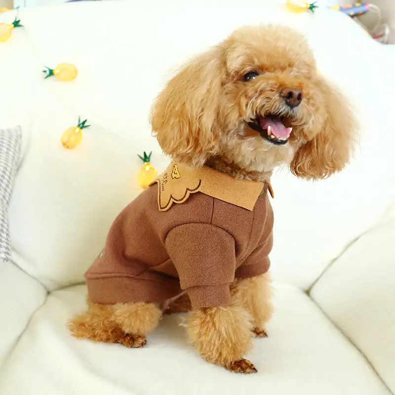 Teddy dog clothes new winter pet supplies woolen sweater thick section