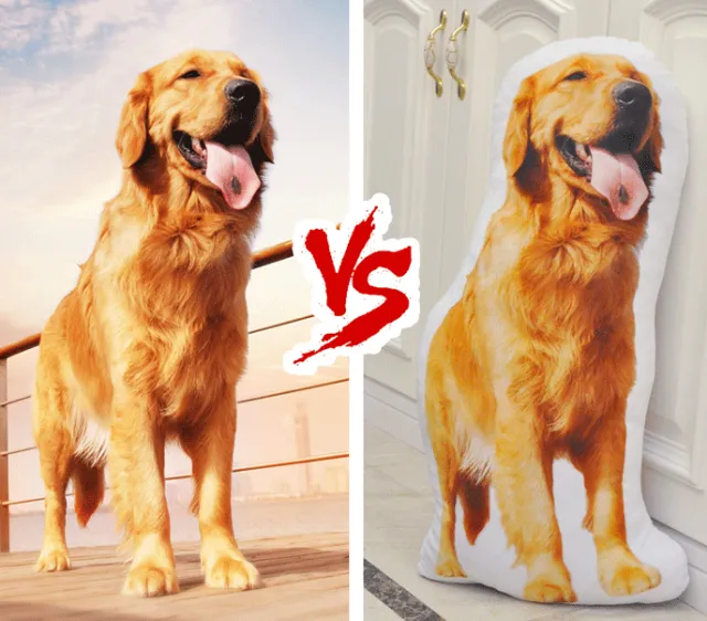 Vacuum PP Cotton Pet Custom Cute Pillow One Side - Shop at LoveMi
